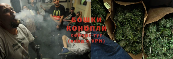 гашик Горняк