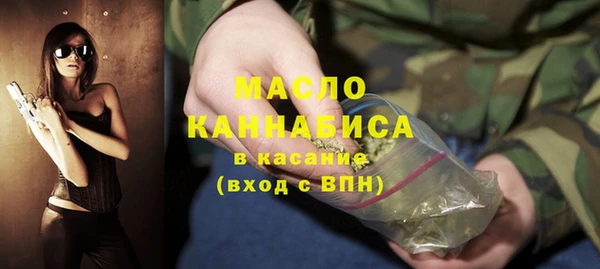 гашик Горняк