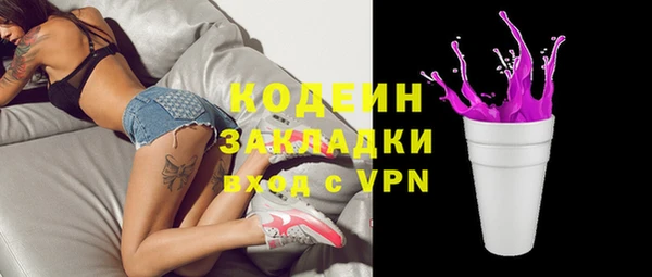 гашик Горняк