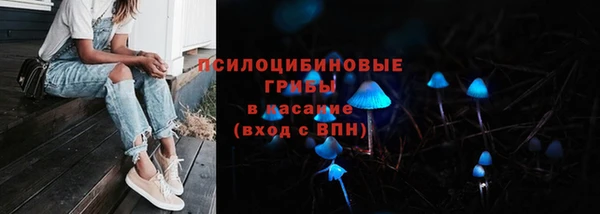 крисы Горнозаводск