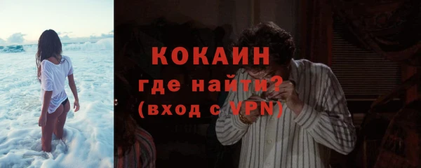 гашик Горняк