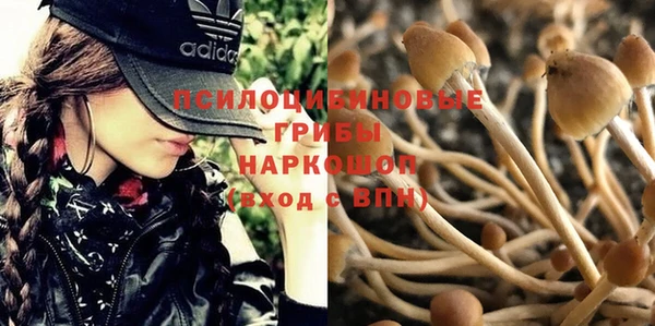 гашик Горняк