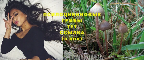 spice Гусиноозёрск