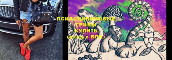 бутират Горно-Алтайск