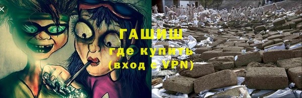 гашик Горняк