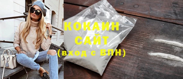 гашик Горняк