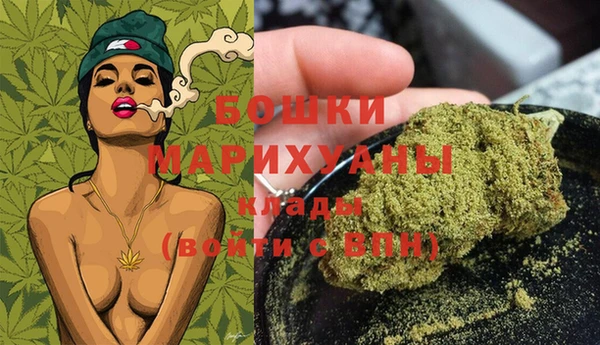гашик Горняк