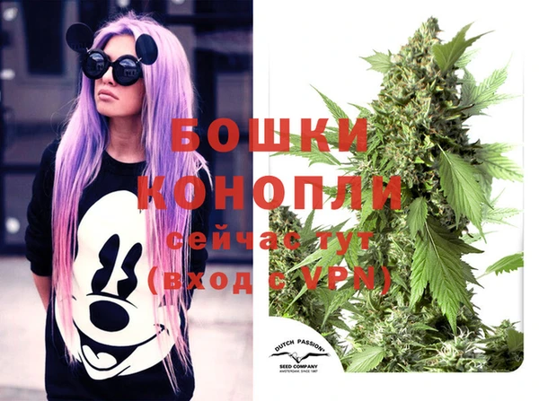 кокс Гусев