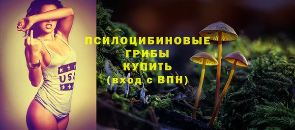 spice Гусиноозёрск